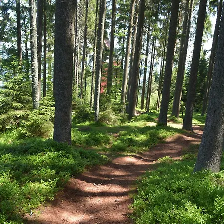 Campsite Churanov Chaticky Stachy