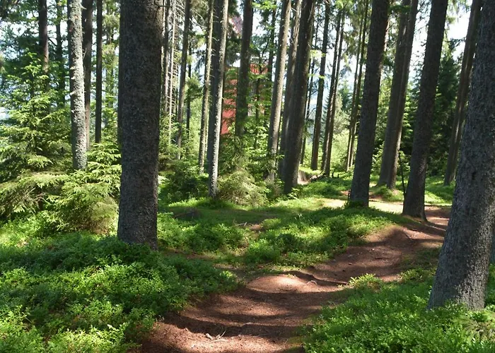 Camping Churanov Chaticky Stachy